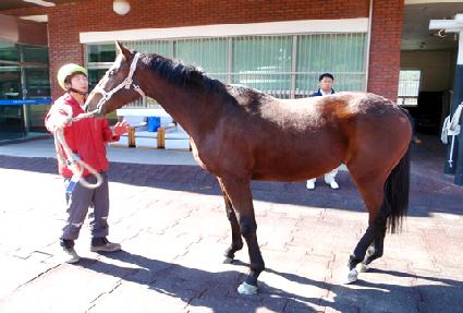 ����� ����