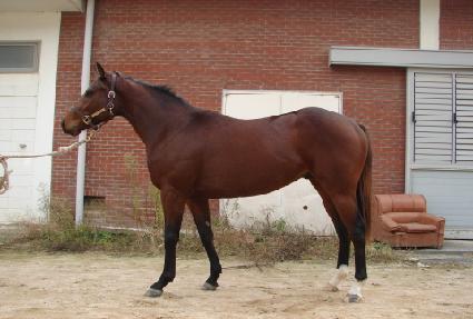 �ݰ���� ����