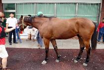 �����Ͻ� (BAEKJEON WANSEUNG) ����