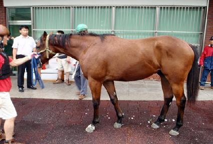 �����Ͻ� ����