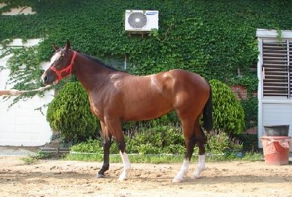 ��ٸ����� ����