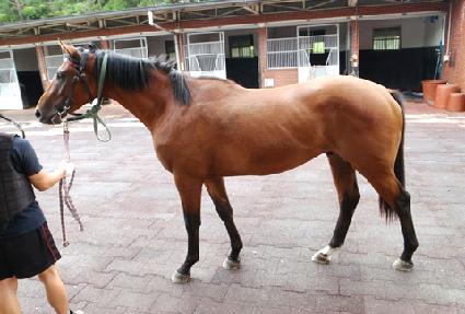 ��ũ��Ʈ ����