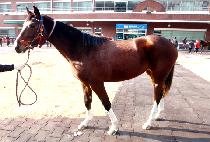 ����Ǳ�� (MODUUI GIPPEUM) ����