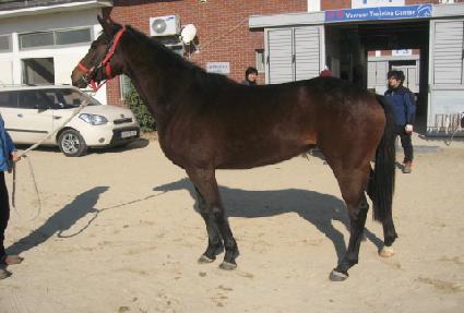 �ʰ� ����