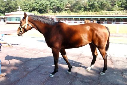 ���ڵ� ����