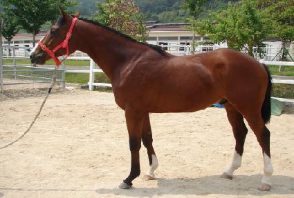 ����ī�� ����