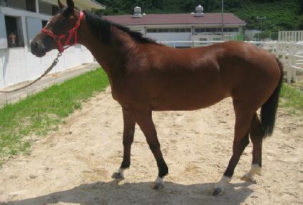 �������� ����