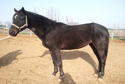 �������� ����