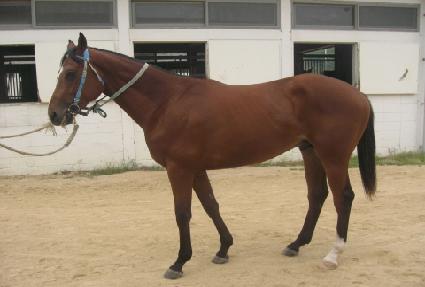 ��Ÿ�� ����