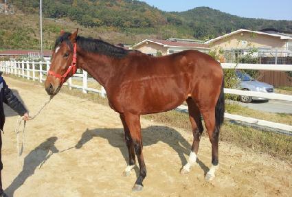 ��ǳ���� ����