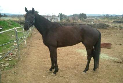 ���� ����