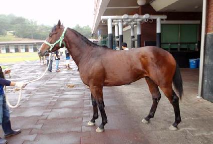 �ʽ� ����