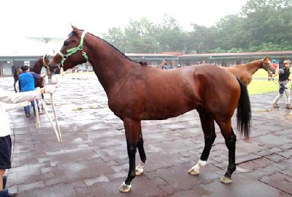 ���� ����