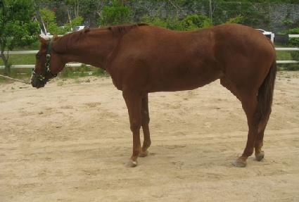 ���� ����