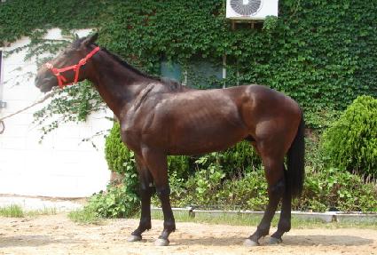 �˽�ĸƾ ����