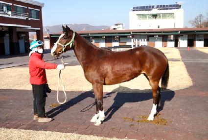 ������� ����