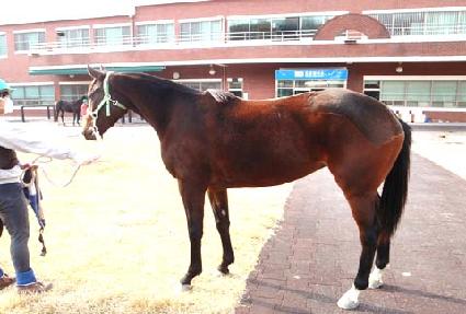 ����Ƽ����Ȧ ����