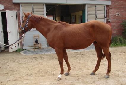 ���ε��� ����