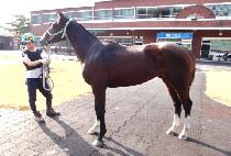 �ƿ���� (AUTOBAHN) ����