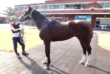 �ƿ���� ����