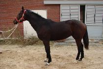 ���� (HOT ZONE) ����