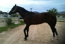 ���� (SO HOT) ����