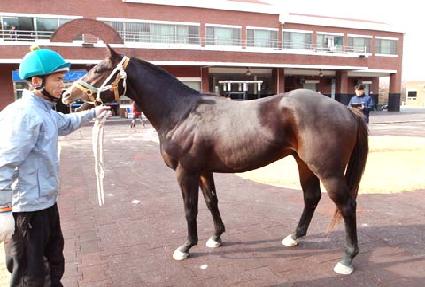 ���̿���¯ ����