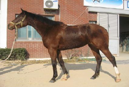 ������Ʈ ����