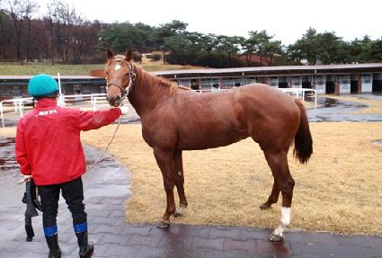 ����è�� ����