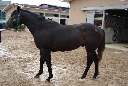 ����ٸ� ����