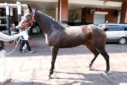 �ߴ��� ����