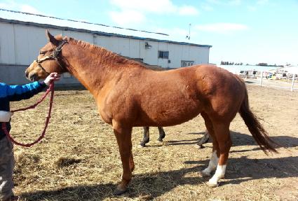 õ�� ����