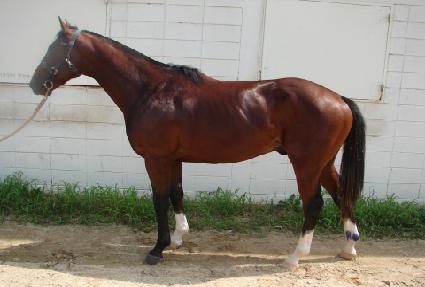 �ݰ���� ����