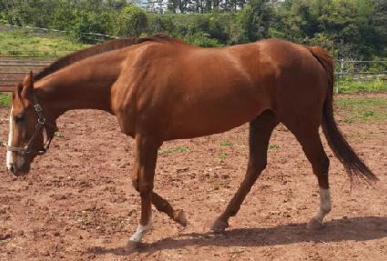 ��´�û ����