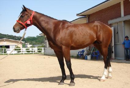 �뺧��ǳ ����