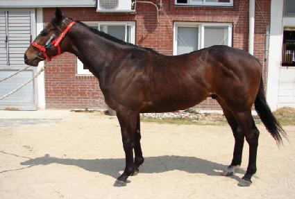 ���۱׷��� ����