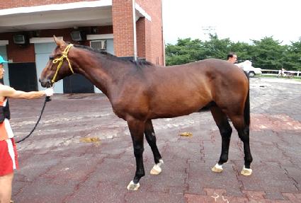 �ǽ��ε� ����