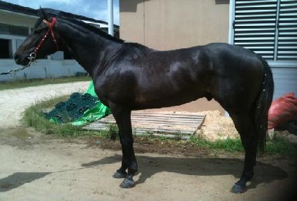 �ѹ��ǳ��� ����