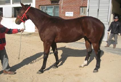 ĳ����Ʈ ����