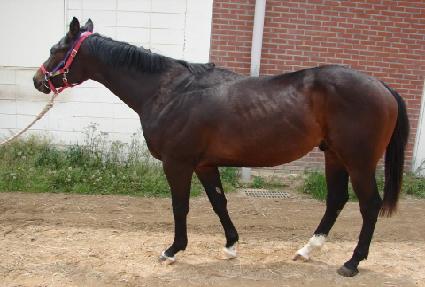 ����ĸƾ ����