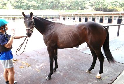 ���ʺ��� ����