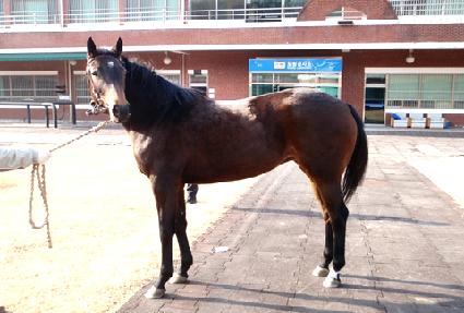 ���̵���õ ����