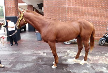 ������Ŀ ����