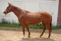 �Ƹ��ٿ��ȭ (AREUMDAUN SINHWA) ����