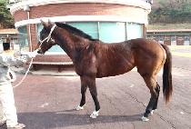 ��ġ��õ (RICH ICHEON) ����