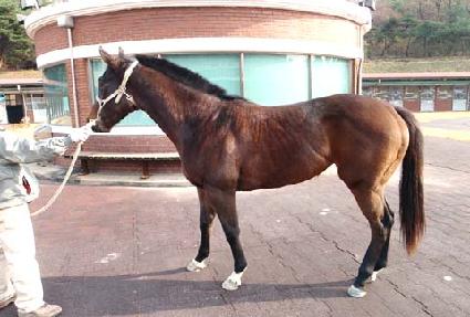 ��ġ��õ ����