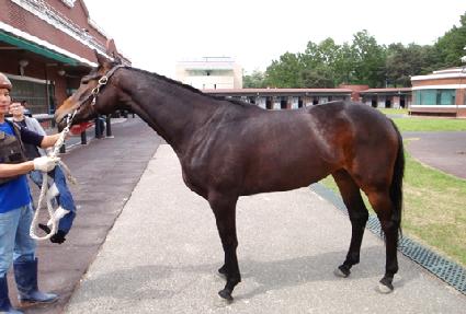 ŷ�����̽� ����