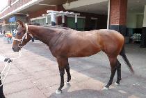 Ŭ�������� (CLEANUP CHUKJE) ����