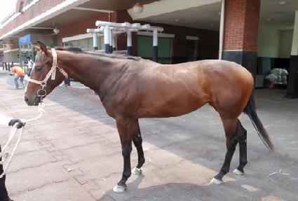 Ŭ�������� ����