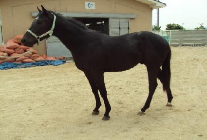 ��ȣ�йи� ����